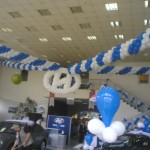 Açılış Organizasyon
