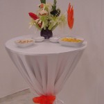 Catering Organizasyon