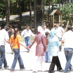 Piknik Organizasyon