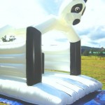 Piknik Organizasyon