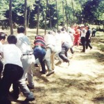Piknik Organizasyon