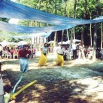 Piknik Organizasyon